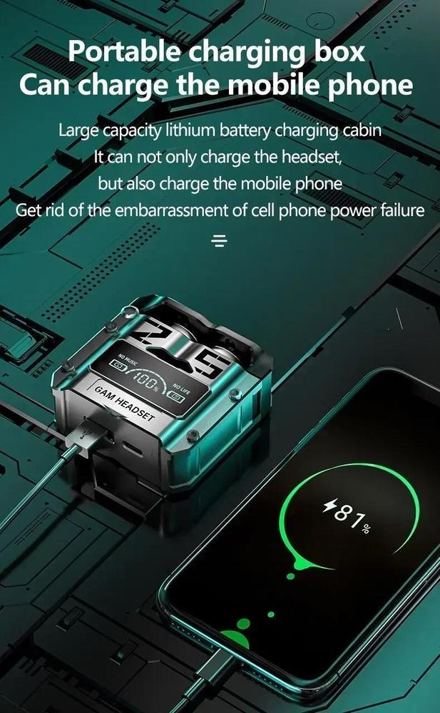 Gaming Earbuds with Dual Microphones & Charging Case